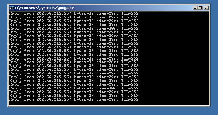 dns.JPG